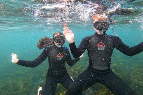 Manly Snorkel Trip And Nature Walk With Local Guide - Attractions Melbourne 3
