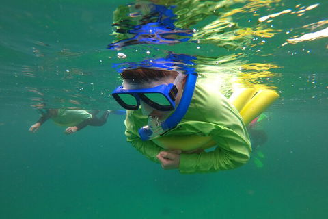 Manly Snorkel Trip And Nature Walk With Local Guide - Attractions Melbourne 5