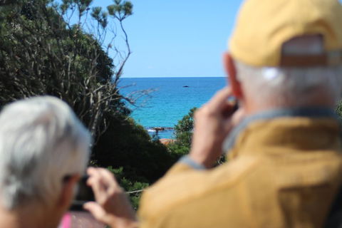 Margaret River Coastal And Wildlife Eco Trip From Busselton Or Dunsborough - Attractions Melbourne 5